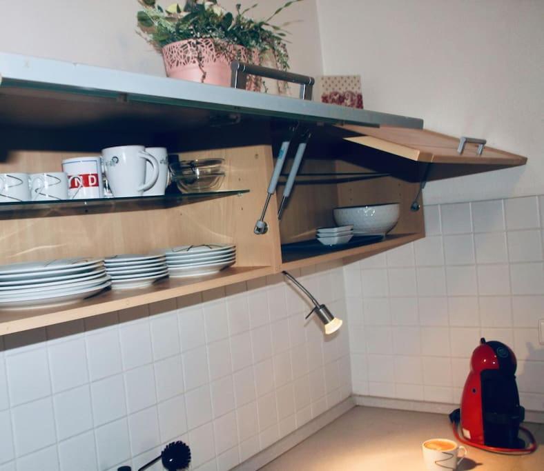 Jasmine Apartment - Free Parking - City Center - Skibus - Tatralandia 5Km Liptovský Mikuláš エクステリア 写真
