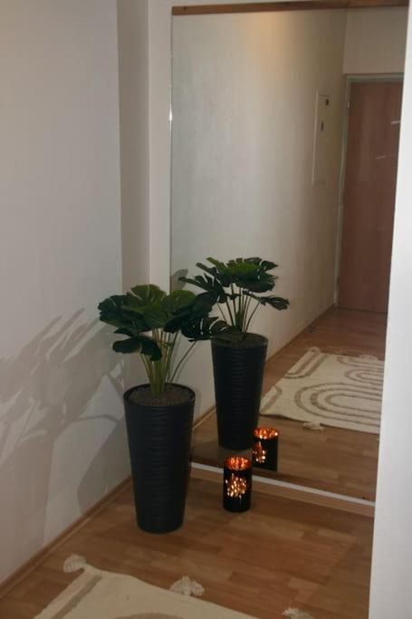 Jasmine Apartment - Free Parking - City Center - Skibus - Tatralandia 5Km Liptovský Mikuláš エクステリア 写真