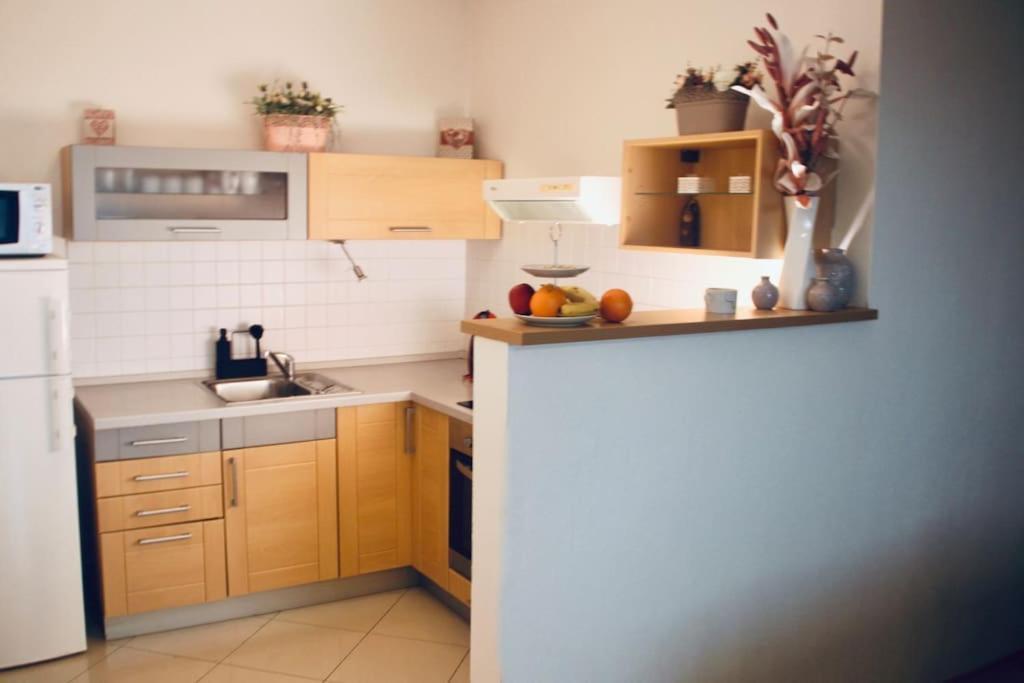 Jasmine Apartment - Free Parking - City Center - Skibus - Tatralandia 5Km Liptovský Mikuláš エクステリア 写真